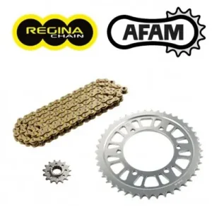 Offerta Lampo Kit trasmissione Newfren per Aprilia Pegaso 650 Strada, Trail e Factory-