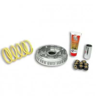 Prezzo Scontato Kit Multivar 2000 Malossi per Aprilia Leonardo 300, Yamaha Majesty 250, X-Max 250...-