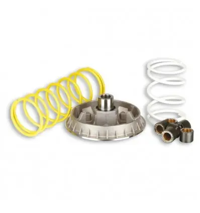 Consegna Rapida Kit Multivar 2000 Malossi per Honda Pantheon 2T 125 e 150-