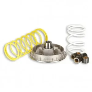 Kit Multivar 2000 Malossi per Honda Foresight 250, Piaggio X9 250...- Pagamento Sicuro