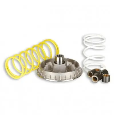 Kit Multivar 2000 Malossi per Honda Foresight 250, Piaggio X9 250...- Pagamento Sicuro