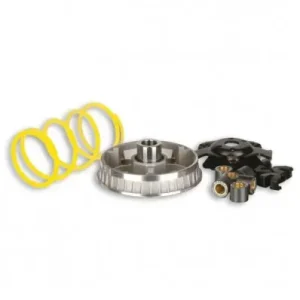Kit Multivar 2000 Malossi per Aprilia Leonardo e Scarabeo 125/150 Rotax- Promo Stagionale