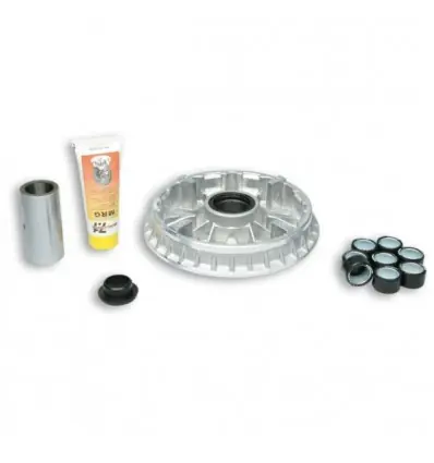 Spedito Oggi Kit Multivar 2000 Malossi Yamaha Majesty 400 fino al 2008-
