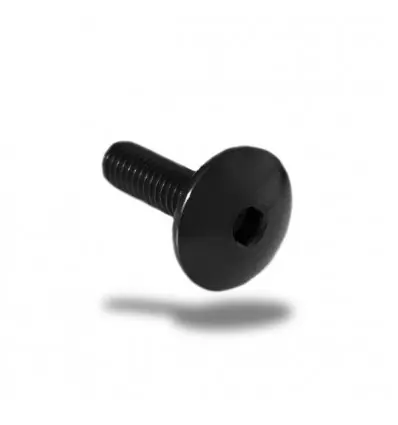 Vite in ergal 003 testa bombata passo 6x40mm-Argento Pagamento Sicuro