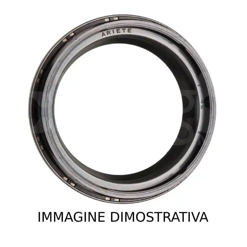Paraoli Forcella 48x58,2x8,5x10,5 | DC4Y Esclusivo
