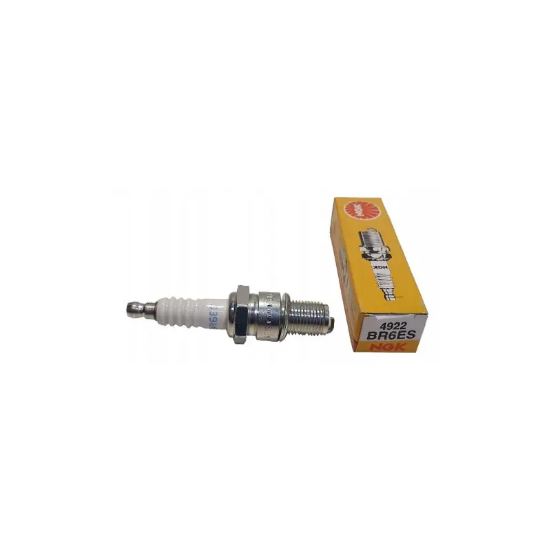 Pagamento Sicuro Candela ngk br6es stock nr.4922