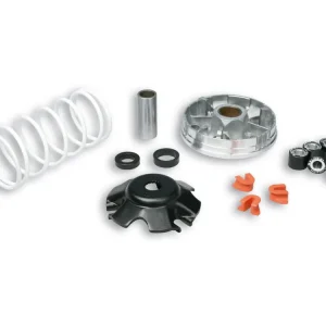 Compra Online VARIATORE MULTIVAR 2000 PER SCOOTER PIAGGIO 50CC MALOSSI APRILIA SPORTCITY ONE STREET 50 2T EURO 2-