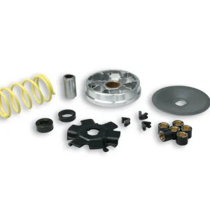 Prezzo Conveniente VARIATORE MULTIVAR PER CICLOMOTORI PIAGGIO MALOSSI ITALJET PACK 50 2T-