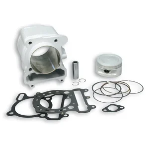 CILINDRO 74 IN ALLUMINIO H2O 4-STROKE MALOSSI APRILIA LEONARDO 300 4T LC- Affare