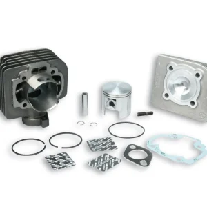Direttamente Dal Produttore GRUPPO TERMICO 47 IN GHISA CON SPINOTTO 10 MALOSSI SUZUKI KATANA 50 2T-