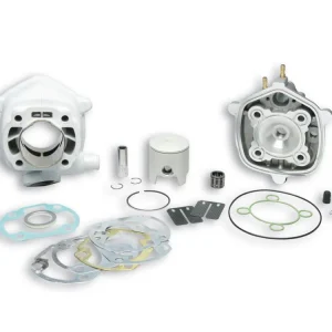 Scelto Dai Clienti GRUPPO TERMICO 47,6 IN ALLUMINIO CON SPINOTTO 12 MALOSSI APRILIA SR STEALTH 50 2T LC (MINARELLI)-