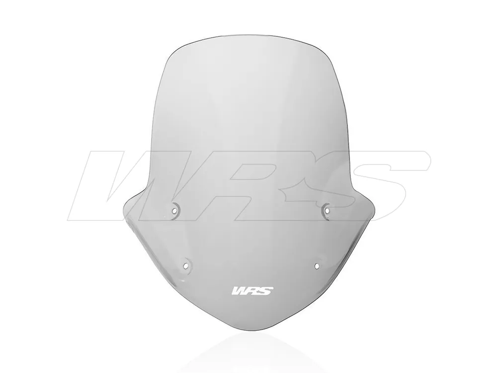 Nuovo Arrivo CUPOLINO TOURING WRS FUME' BMW R 1250 R 2019-2024-
