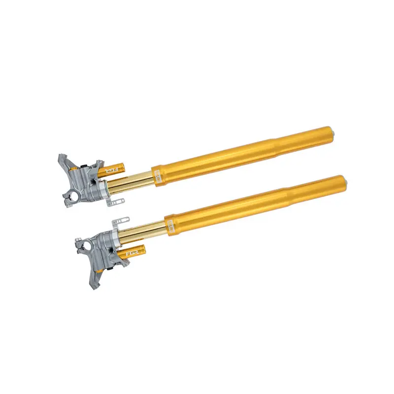 Solo Oggi Forcella Ohlins FGR300 43RR Superbike-