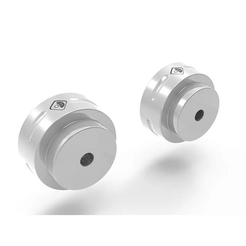 Contrappesi Manubrio Ducabike CM09 MTSV4 argento- Miglior Prezzo