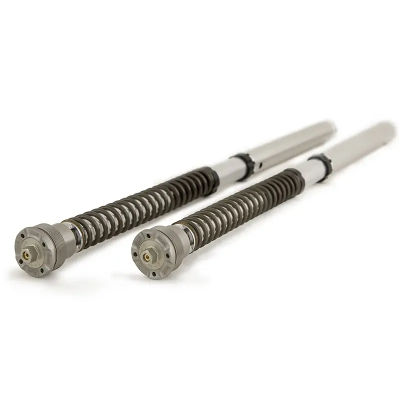 Offerta Cartuccia Ohlins 30mm FGK212 Bmw S1000RR-