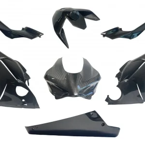 Spedizione Gratuita KIT CARENE RACING CARBONIO EXTREME COMPONENTS DUCATI PANIGALE V4 / S 2025-
