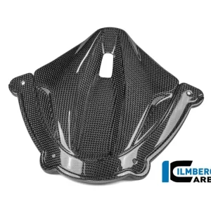 Professionale COVER STRUMENTAZIONE CARBONIO LUCIDO ILMBERGER DUCATI PANIGALE V4 / S / R 2025-2026-