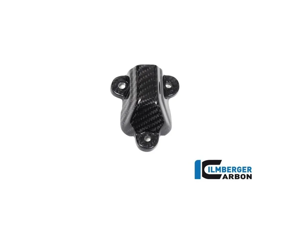 PROTEZIONE POMPA ACQUA CARBONIO ILMBERGER BMW M 1000 RR 2021-2025- Solo Oggi