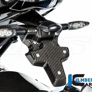 PORTATARGA CARBONIO ILMBERGER BMW R 1250 R (LC) 2019-2023- A Buon Prezzo