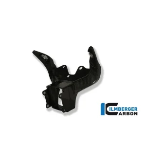 Must-Have TELAIETTO STRUMENTAZIONE CARBONIO ILMBERGER BMW S 1000 RR 2010-2011 RACE-