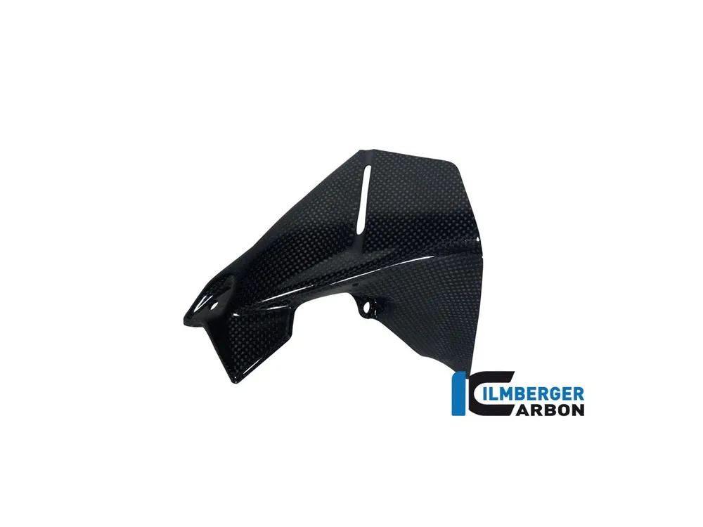 Affare PARAVENTO STRUMENTAZIONE SINISTRA CARBONIO ILMBERGER BMW R 1200 GS 2013-2016-