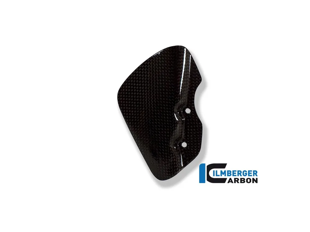 PARATACCO CARBONIO ILMBERGER BMW R 1200 GS 2008-2009- Promozione