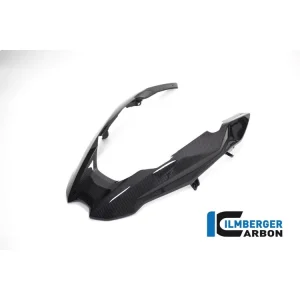 BECCO ANTERIORE CARBONIO ILMBERGER BMW R 1250 GS 2018-2020- Occasione Imperdibile