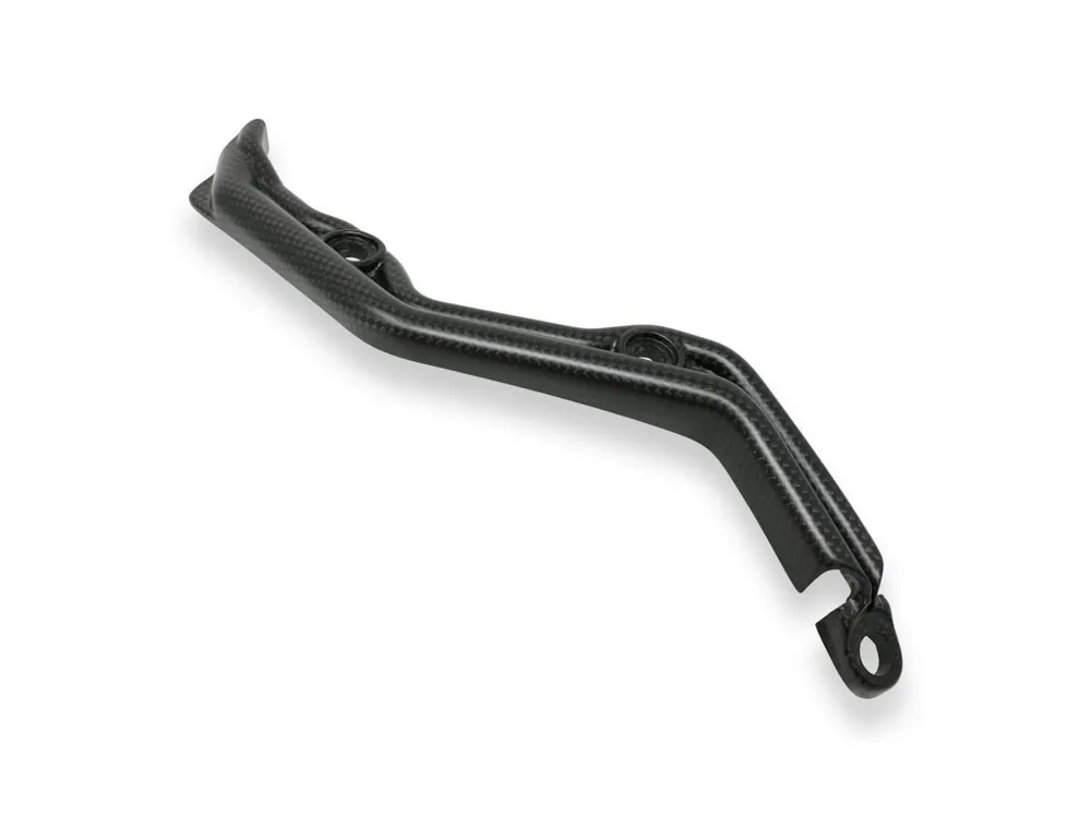 Esclusivo PASSACAVI FORCELLONE CARBONIO OPACO CNC RACING DUCATI 1199 PANIGALE R-