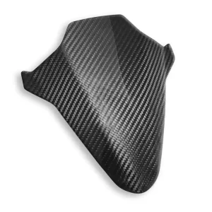 PANNELLO INTERNO CUPOLINO CARBONIO LUCIDO DBK BMW S 1000 RR / M 1000 RR 2019-2023- Ultimissimo Modello