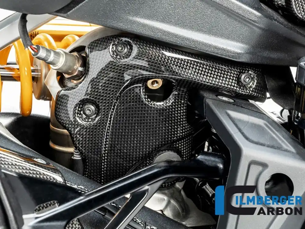PROTEZIONE SILENZIATORE CARBONIO LUCIDO ILMBERGER DUCATI DIAVEL 1260 2019-2022- Reso Gratuito
