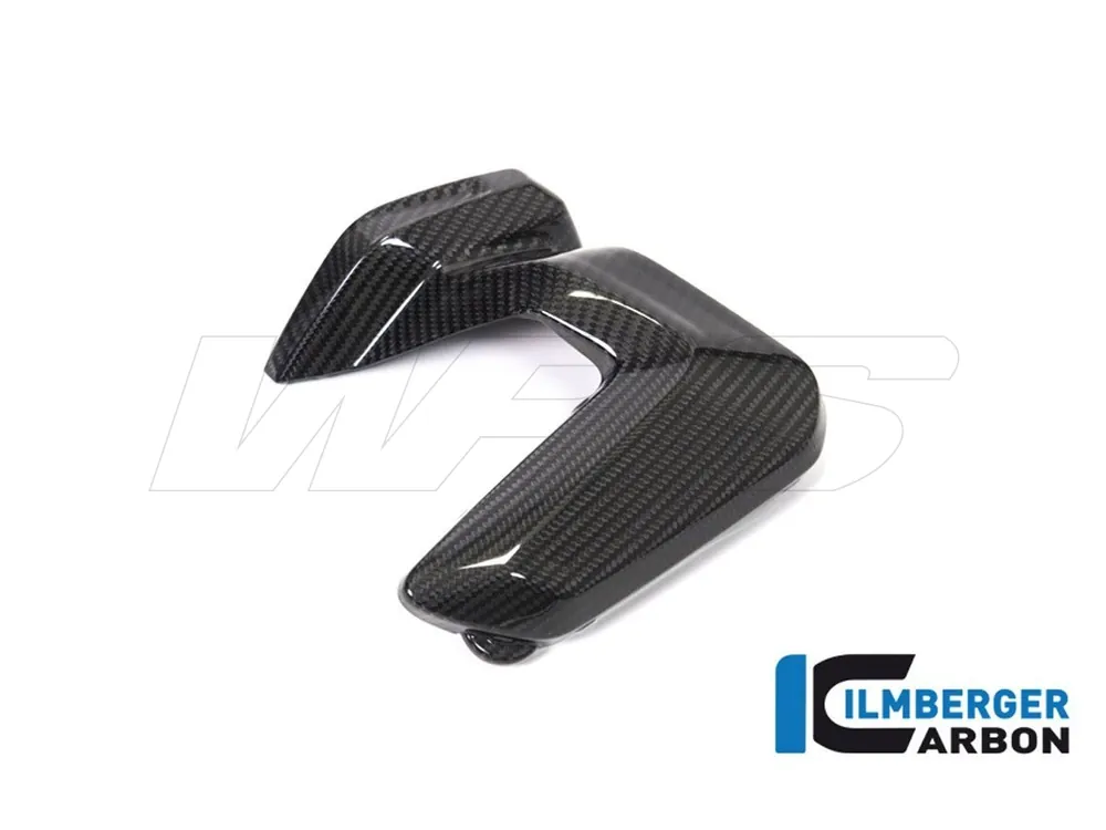 INSERTO CARBONIO COVER TESTATA SINISTRA ILMBERGER BMW R 1250 RS (LC) 2019-2023- Affare