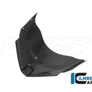 INSERTO SOTTOCARENA ANT RACE CARBONIO LUCIDO ILMBERGER DUCATI PANIGALE V4R 19-22- Spedizione Espresso