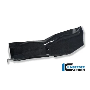 Reso Gratuito VASCA RADIATORE OLIO ORIGINALE CARBONIO ILMBERGER DUCATI PANIGALE 1199 2012-2014-