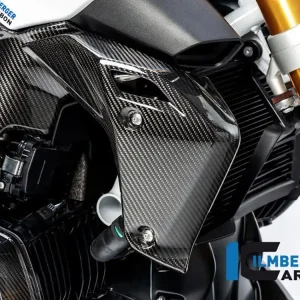 COVER RADIATORE DESTRA CARBONIO ILMBERGER BMW R 1250 R (LC) 2019-2023- Direttamente Dal Produttore