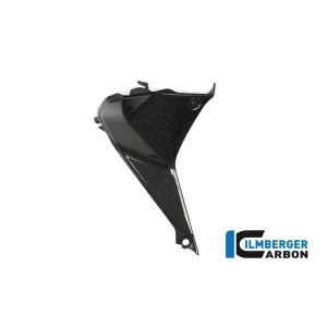 COVER STRUMENTAZIONE SINISTRA CARBONIO ILMBERGER BMW R 1200 RS 2015-2018- Prezzo Basso