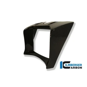 COVER RADIATORE OLIO CARBONIO ILMBERGER BMW R 1200 R 2011-2014- Ordina Subito
