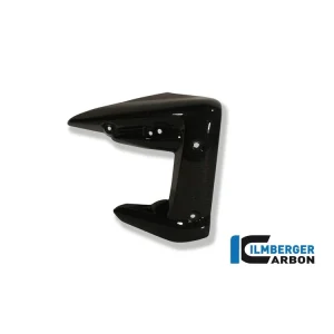 COVER RADIATORE DESTRA CARBONIO ILMBERGER TRIUMPH STREET TRIPLE 675 2007-2012- Direttamente Dal Produttore