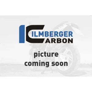 Offerta Lampo COVER ALTERNATORE LUCIDA CARBONIO ILMBERGER DUCATI PANIGALE 959 2016-2019-