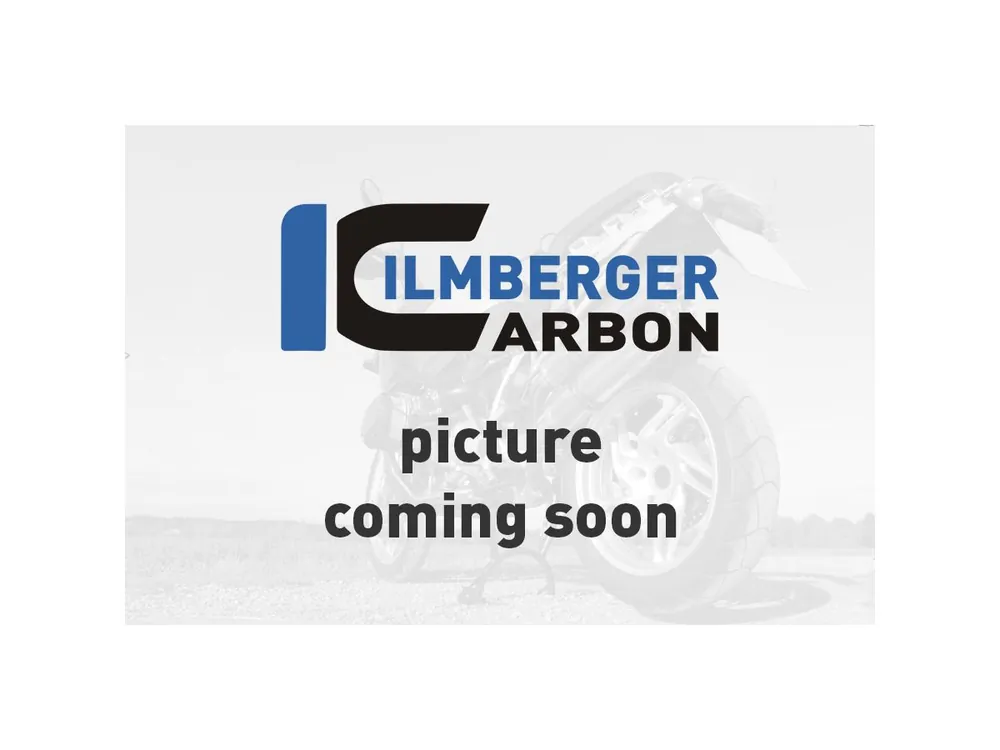 Offerta Lampo COVER ALTERNATORE LUCIDA CARBONIO ILMBERGER DUCATI PANIGALE 959 2016-2019-