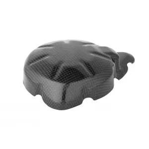 COPERCHIO ALTERNATORE IN CARBONIO LIGHTECH KAWASAKI Z 900 2017-2025- Solo Oggi