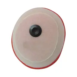 Filtro Aria HONDA 403651925 Consegna Rapida