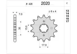 Must-Have Pignone OgniBene Passo 428 Z 14 Denti - 36.2020.014