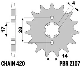 Occasione Pignone in Acciaio 2107 Z14 denti - 2107Z14