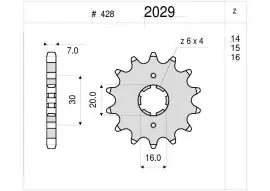 Must-Have Pignone OgniBene Passo 428 Z 14 Denti - 36.2029.014