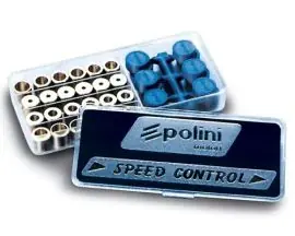 Offerta Del Giorno KIT Rulli SupeRLeggeri VARIATORE HONDA-SPEED CONT.16X13 - Polini 242.018