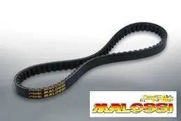 6112741 - Cinghia X-Special Belt Malossi APRILIA-MALAGUTI-MBK-YAMAHA 50cc 2T Novità