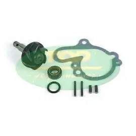 Nuovo Arrivo Kit revisione pompa acqua per motore Minarelli AM6 - Kit revisione pompa acqua Top Performance -AA00789