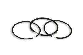 SEGMENTO Ø 65x1,2 rettangolari HONDA - MALOSSI 353850 Compra Online