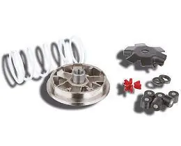 Offerta Malossi Multivar per scooter 50cc 4T KYMCO - Variatore Malossi 5113269