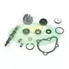 Pagamento Sicuro Kit revisione pompa acqua Kymco 250/300 cc 4T Top Performance - AA00816